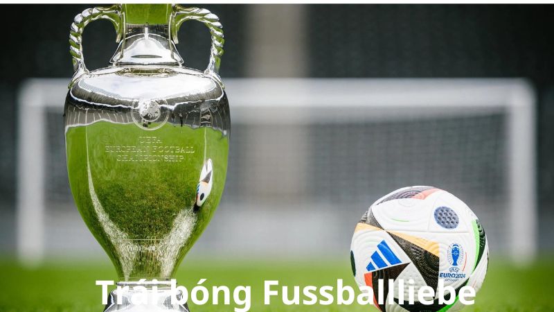Giải mã bí mật trái bóng Fussballliebe tại Euro 2024