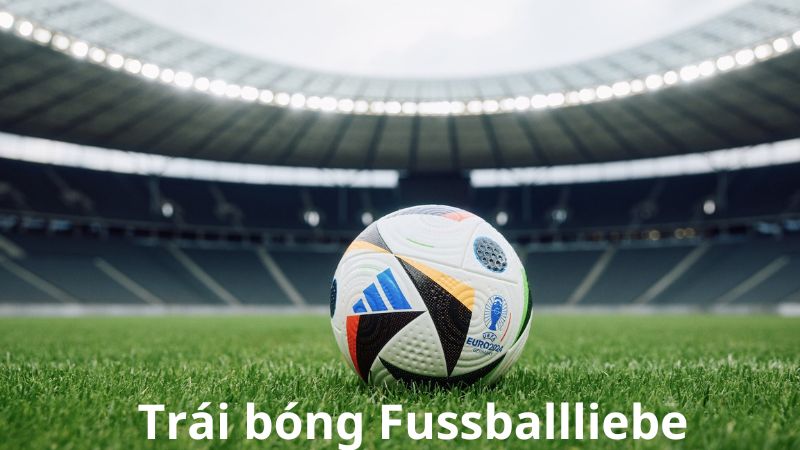 Giải mã bí mật trái bóng Fussballliebe tại Euro 2024